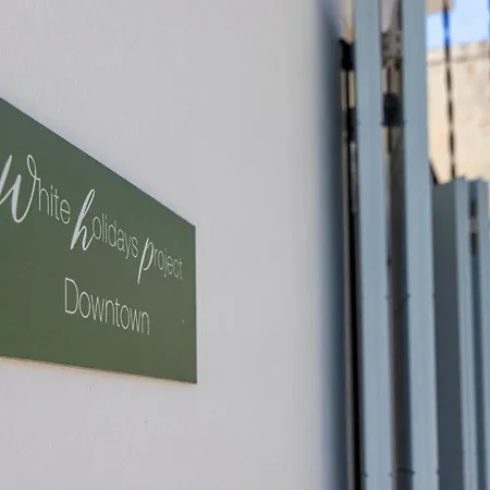 公寓 White Holidays Project Downtown